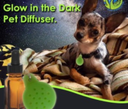 pet diffuser  - calm your pet during a storm